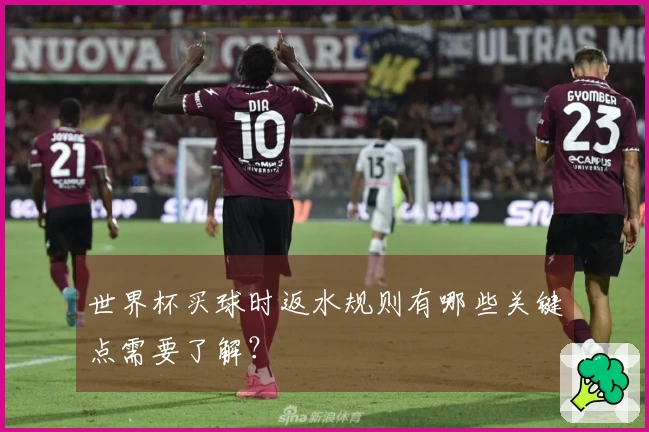世界杯买球时返水规则有哪些关键点需要了解？